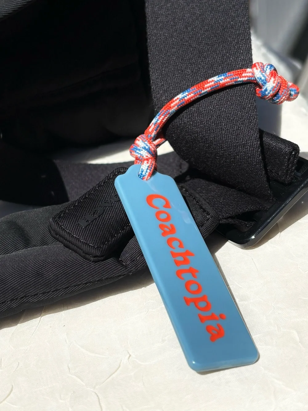 COACH Coachtopia Loop Messenger Bag CV412